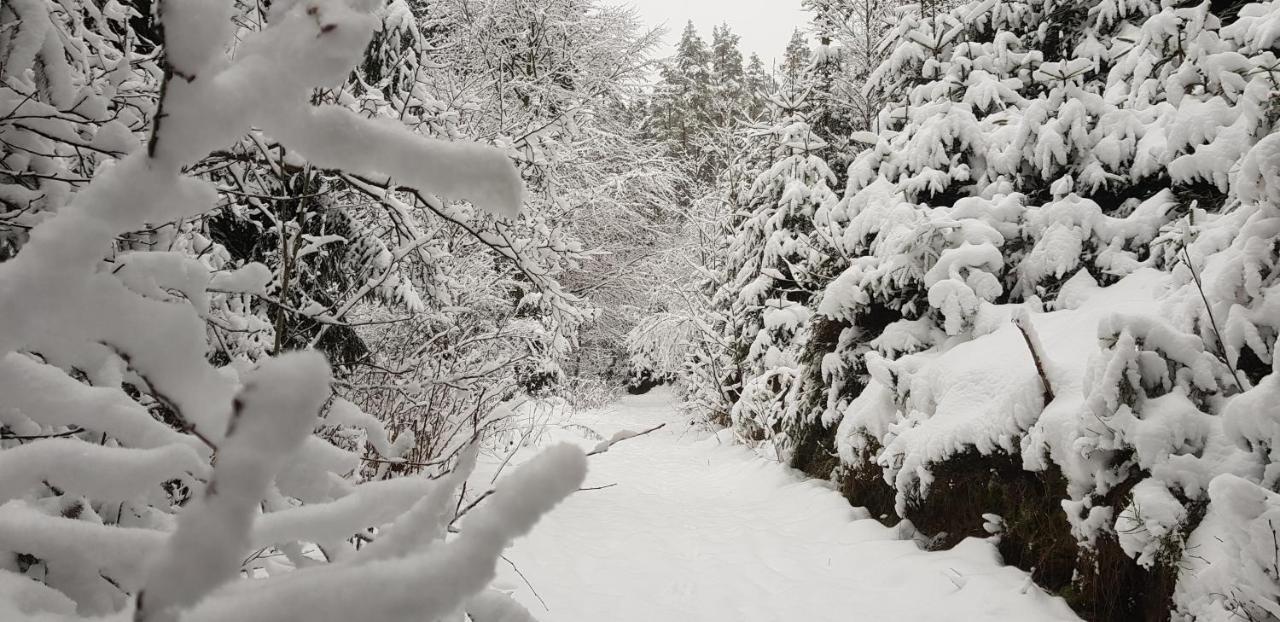 Podskali Adrspach Teplice nad Metují Extérieur photo
